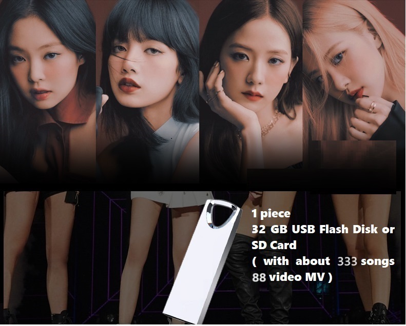 Cantante de Corea del Sur, gru - Audio Music Songs reseña y precio